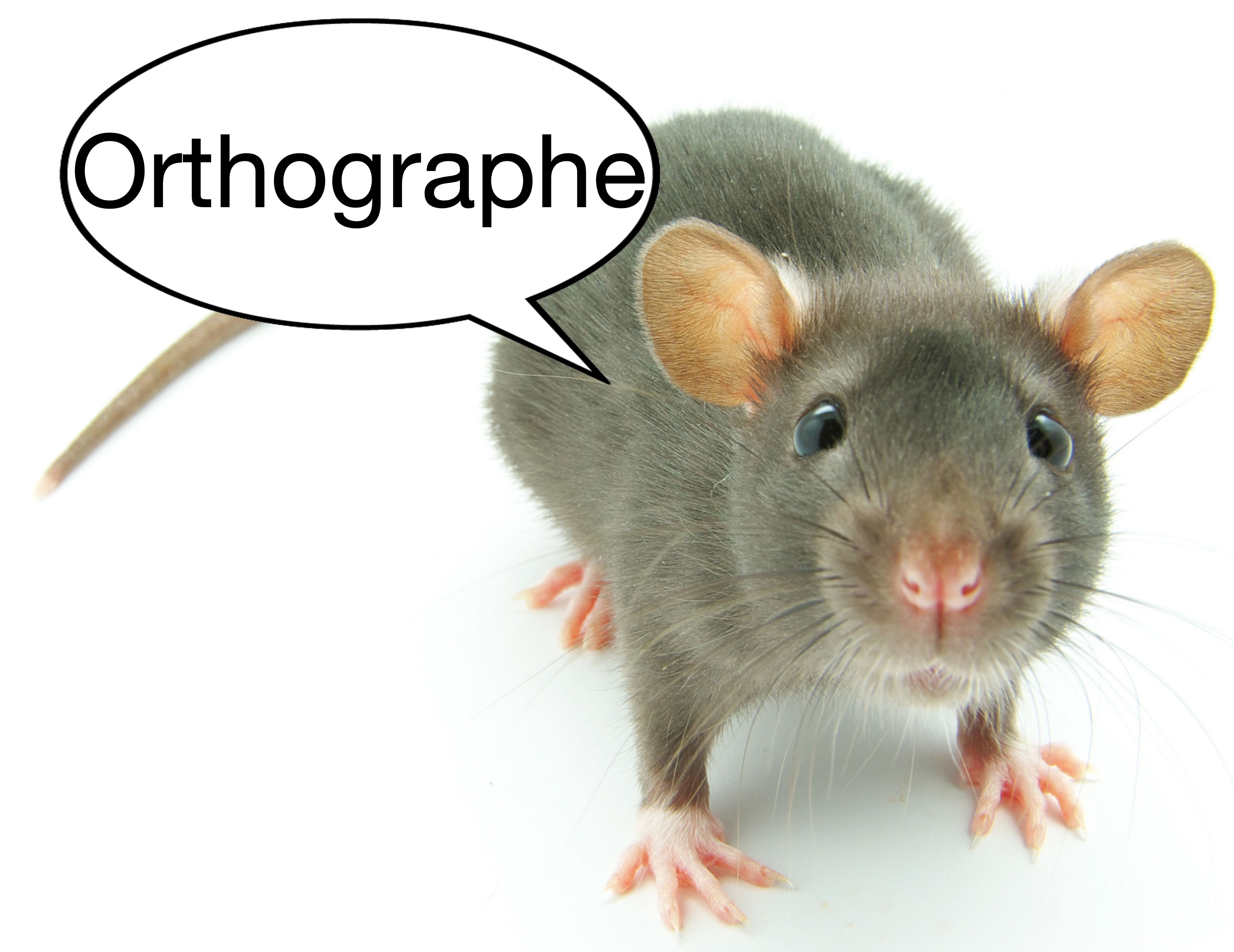 RadiOrthographe