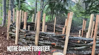 Un nouveau canapé forestier à la Rotinière