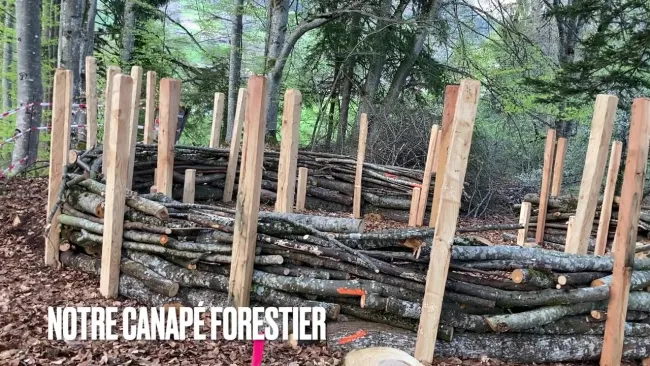 Un nouveau canapé forestier à la Rotinière